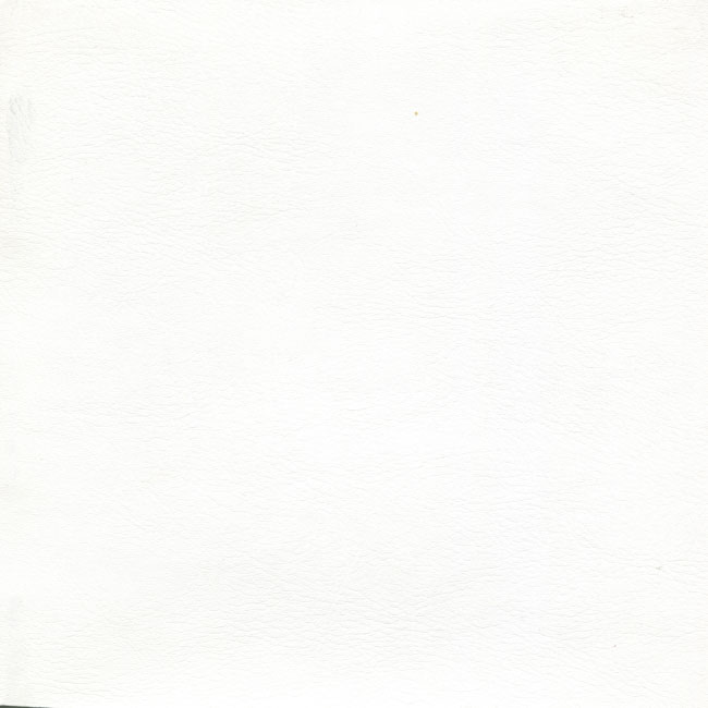 Класичний шкірзамінник (з фактурою натуральної шкіри) WHITE - материал для обложки фотокниги SOFI