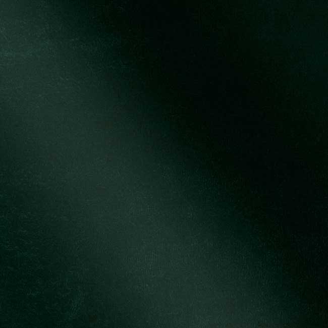 Мікро-велюр EMERALD - материал для обложки фотокниги SOFI